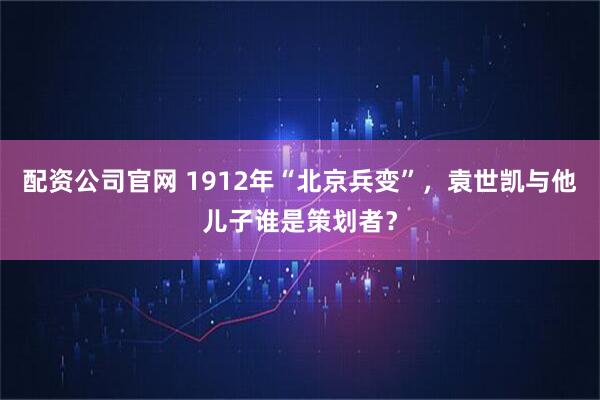 配资公司官网 1912年“北京兵变”，袁世凯与他儿子谁是策划者？
